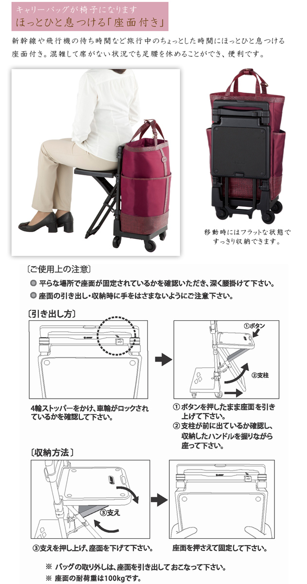 機内持ち込み可能】スワニー(SWANY) グローラ 座面付きソフトキャリー ジッパーキャリー D-320 L21 19L ビジネス 出張 帰省 ( 椅子付き スーツケース 旅行 キャリーケース おしゃれ キャリーバッグ ソフトキャリーケース ソフト 機内持ち込み 4輪 バッグ) 旅行用品 ...